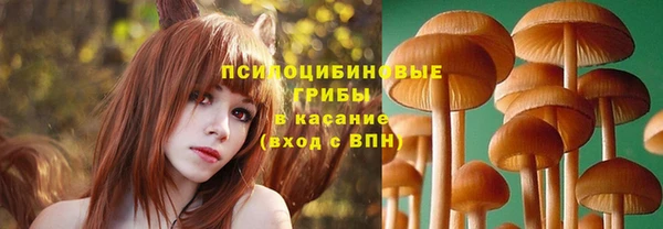 гидропоника Кулебаки