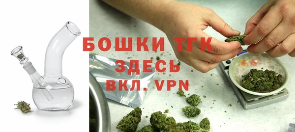 PSILOCYBIN Кукмор