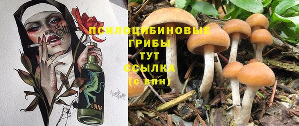 гидропоника Кулебаки