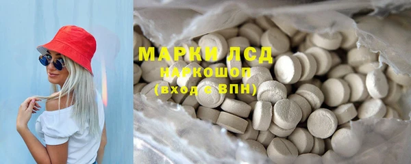 PSILOCYBIN Кукмор