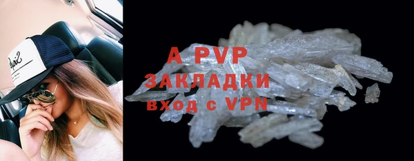 PSILOCYBIN Кукмор