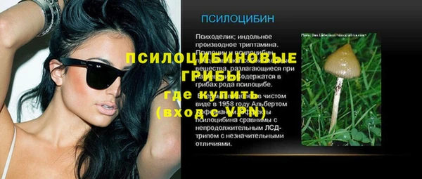 гидропоника Кулебаки