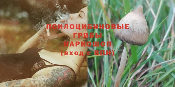 гидра Лабытнанги