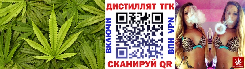 где купить наркоту Рассказово Дистиллят ТГК THC oil
