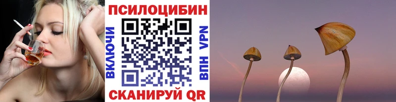 Псилоцибиновые грибы MAGIC MUSHROOMS  Рассказово 