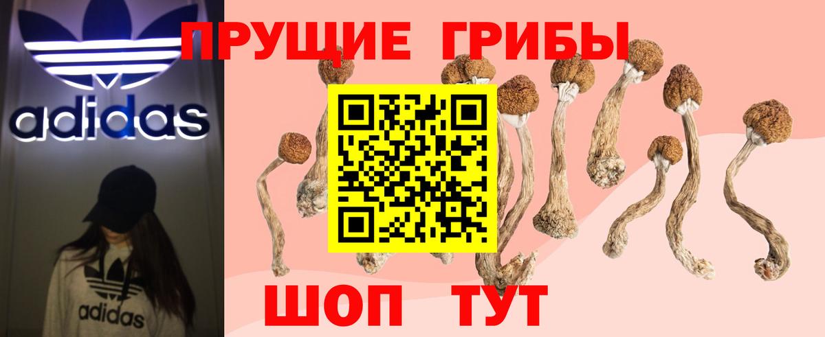 Рассказово  Галлюциногенные грибы GOLDEN TEACHER  Вход с VPN 
